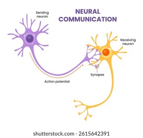 Vector illustration of neural communication and synaptic connections 