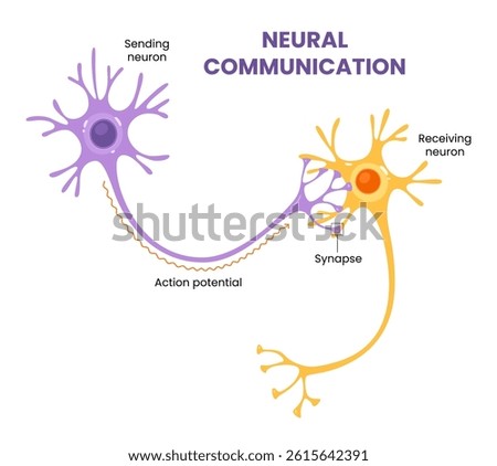 Vector illustration of neural communication and synaptic connections 