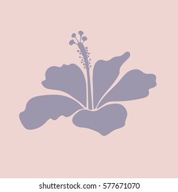 Vector illustration. Neutral hibiscus flower icon.