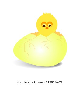 vector illustration of newborn chicken