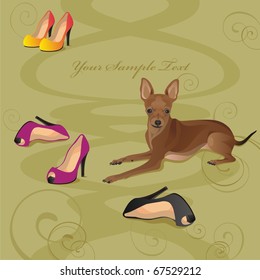 Vector illustration of a nice dog with shoes