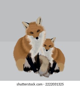 vector illustration with nice red fox