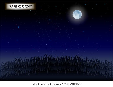 Vector illustration of night background in the street, grass in the garden or forest stars in the sky