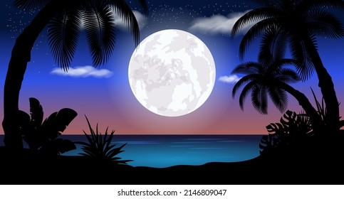 Vector illustration. Night landscape, moon. Starry sky in the clouds. Palm.