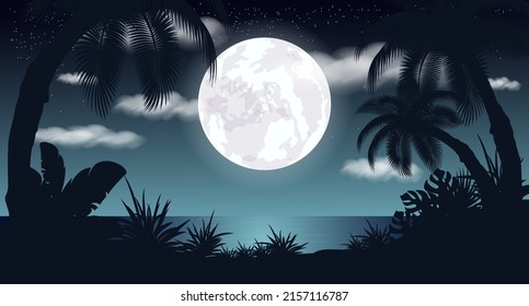 Vector illustration. Night landscape, moon. Starry sky in the clouds. Palm.