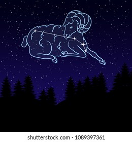 vector illustration of a night sky with the constellation of Aries. Zodiac sign. Star sheep.  Night landscape with starry sky and silhouettes of spruce trees.