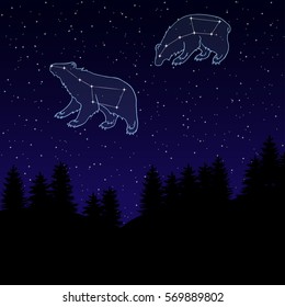 vector illustration of a night sky with the constellation of the Great and Little Bear. Ursa Major and Ursa Minor. Night landscape with starry sky and silhouettes of spruce trees.