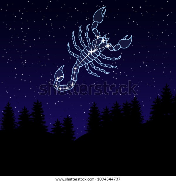 vector illustration of a\
night sky with the constellation of Scorpio. Zodiac sign among the\
star. Night landscape with starry sky and silhouettes of spruce\
trees.