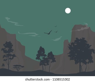 vector illustration night sky over rocks and trees in the valley, canyon landscape, birds flying 