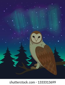 Vector illustration with night starry sky, forest silhouette, polar light and owl