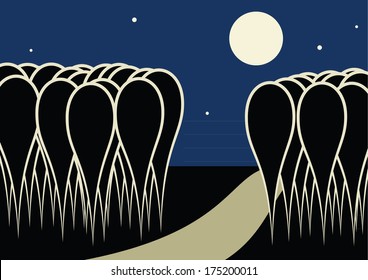 vector illustration of nighttime landscape, with fool moon and a road through a forest