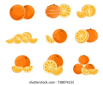 Vector illustration of nine different variants of oranges