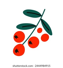 Ilustración vectorial de bayas del bosque del norte. Arándano aislado sobre fondo blanco