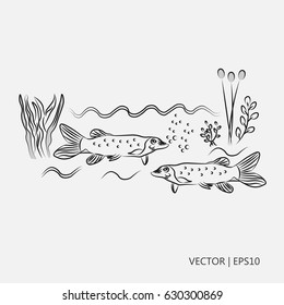 Vector illustration: The northern pike, known simply as a pike. Fishes in the river. River plants. Drawings for children, coloring pages