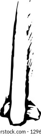 Vector illustration of a nose