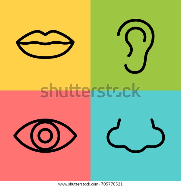 Vector Illustration Nose Ear Mouth Eye Stock Vector (Royalty Free ...