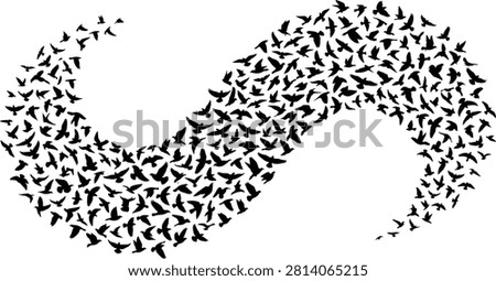Vector illustration of numerous bird silhouettes arranged in the shape of an infinity symbol, symbolizing freedom, eternity, and unity with nature. Ideal for conceptual artwork, logo design, environmental themes, and creative graphic projects.