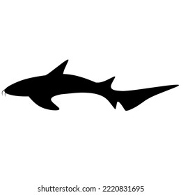 Vector illustration of a Nurse Shark on a white background. Silhouette of a black fish swimming in search of its prey.