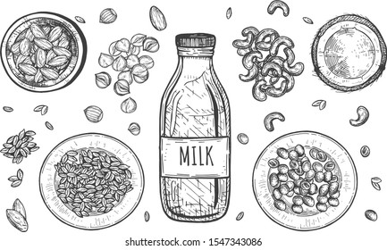 Vector illustration of nut milk composition. Coconut, cashews, almonds, soy, oatmeal, hazelnuts. Vintage hand drawn style.