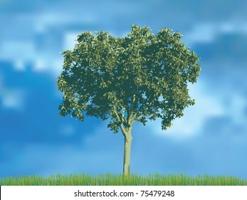 vector illustration of the nut tree in the grass over the cloudy sky