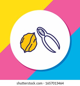 Vector illustration of nutcracker icon colored line. Beautiful kitchenware element also can be used as walnut icon element.