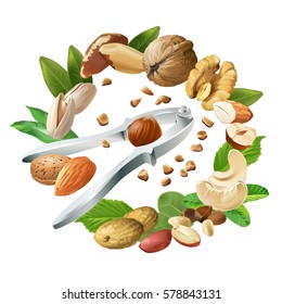 Vector illustration of nutcracker and nuts