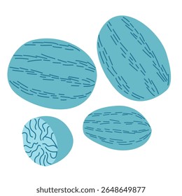 Vector illustration of nutmeg and mace in a flat hand-drawn style. Includes whole nutmeg seeds and their surrounding red aril known as mace