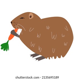 Vector illustration of nutria in a flat style