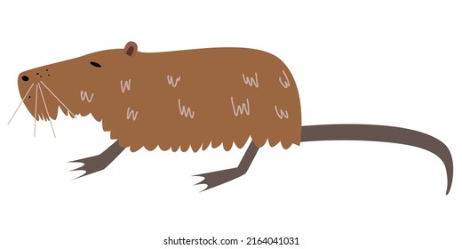 Vector illustration of nutria in a flat style