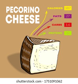Vector illustration nutrients and calories per 100 g of different sorts of cheese set