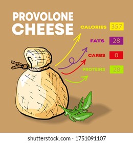 Vector illustration nutrients and calories per 100 g of different sorts of cheese set