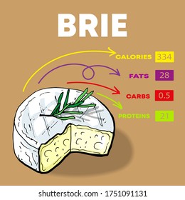 Vector illustration nutrients and calories per 100 g of different sorts of cheese set