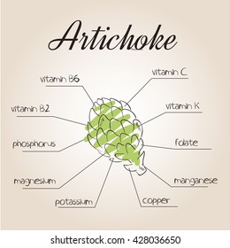 vector illustration of nutrients list for artichoke.