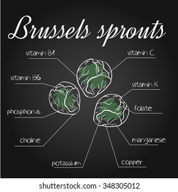 vector illustration of nutrients list for brussels sprouts on chalkboard backdrop
