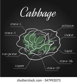 vector illustration of nutrients list for cabbage on chalkboard backdrop