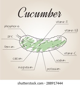 vector illustration of nutrients list for cucumber