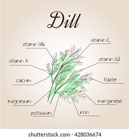 vector illustration of nutrients list for dill.