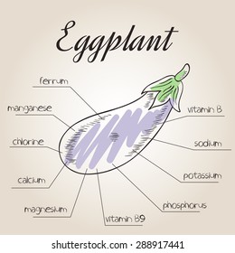 vector illustration of nutrients list for eggplant