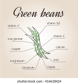 vector illustration of nutrients list for green beans.