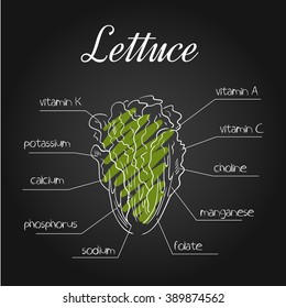 vector illustration of nutrients list for  lettucce on chalkboard backdrop.