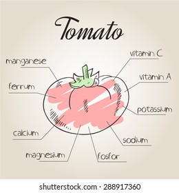 vector illustration of nutrients list for tomato