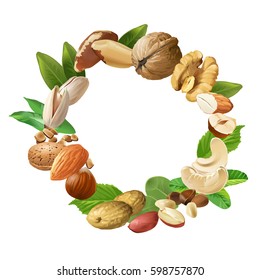 Vector illustration of nuts