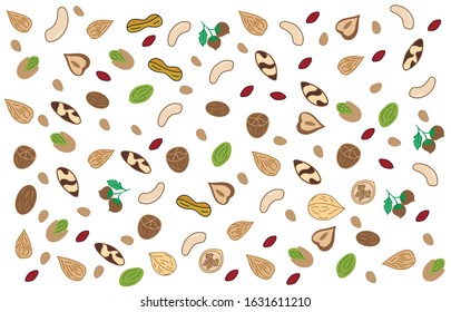 Vector illustration of Nuts doodle for logotype, t-shirt, banner, magazine, poster, decoration, postcard, paper. Nuts background with 9 types of nuts. Nuts pattern. EPS 10. 