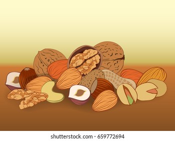 vector illustration nuts on a brown background