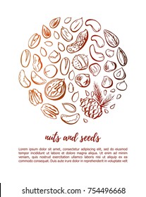 Vector illustration Nuts and seeds. Hand drawn doodle objects in circle composition with place for your text information. Freehand outline in brown gradient isolated on white. Card or poster design