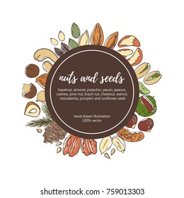 Vector illustration of nuts and seeds. Hand drawn colored elements in circle composition with black round label and place for your text. Card, flier, poster, label template design.