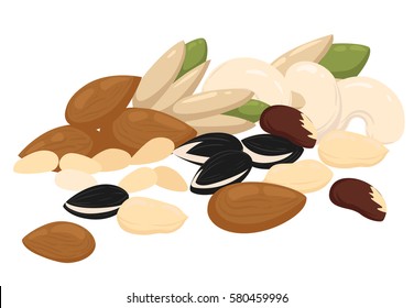 Vector illustration. Nuts and seeds icon set. Almond and walnut, peanut.