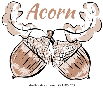 Vector illustration oak branch two acorns icon