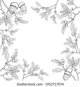 vector illustration oak branches with leaves and acorns,frame,border,black and white outline,doodle