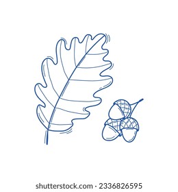 Vector illustration of oak leaf and acorn in doodle style, sketch line art isolated on white background